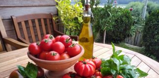 Pomidor smakuje i odżywia – wartości odżywcze pomidora