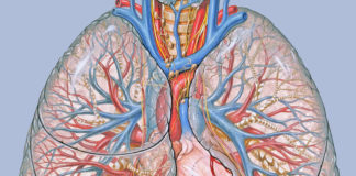 Zakrzepica – przyczyny, objawy i leczenie zapalenia żył