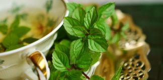 Zielona herbata – właściwości, działanie i sposoby przyrządzania