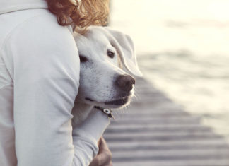 Jak dbać o zdrowie psa?