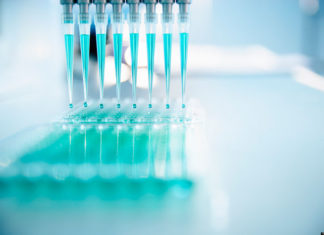 Czy warto przeprowadzić badania genetyczne w Katowicach?