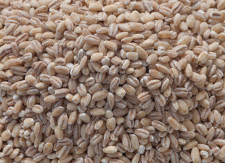 Najlepsza wśród kasz! Najlepsza wśród kasz