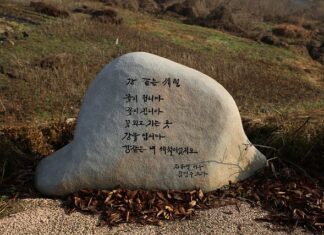 Ile zeolitu na litr wody? Ile zeolitu na litr wody?