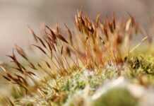 Jak powiesić coś na ścianie bez wiercenia? Jak powiesić coś na ścianie bez wiercenia?