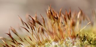 Jak powiesić coś na ścianie bez wiercenia?