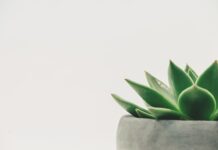 Jak zrobić fajne dekoracje do pokoju?