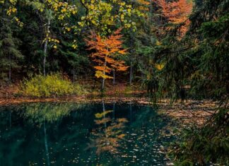 Jaka jasność w projektorze?