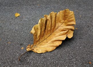 Jak zmierzyć uziom miernikiem?