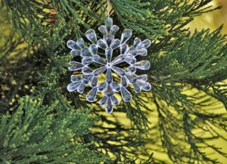 Jak ozdobić ścianę w przedpokoju?