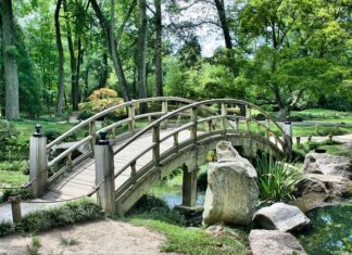 Jakie japońskie auto kupić? Jakie japońskie auto kupić?