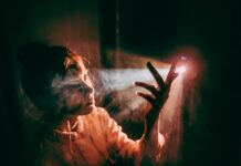 Jak zbudowany jest projektor? Jak zbudowany jest projektor?