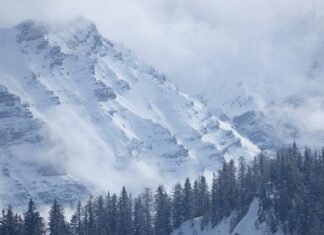Ile kosztuje przegląd w serwisie Kia? Ile kosztuje przegląd w serwisie Kia?