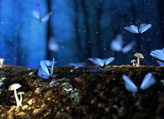 Czy mokre drewno przewodzi prąd?