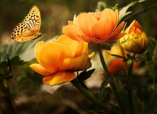 Jaka rękawica do mycia auta forum? Jaka rękawica do mycia auta forum?