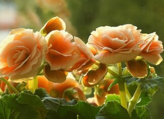 Jaka Ukośnica do cięcia aluminium?