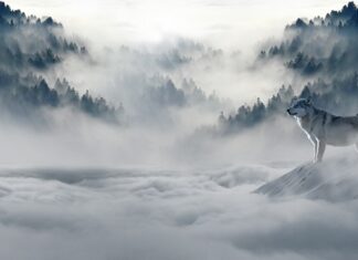 Jakie rękawice robocze na zimę?