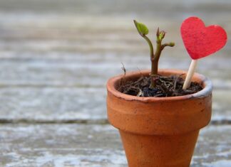 Czy da się rozciągnąć skórzane rękawiczki?