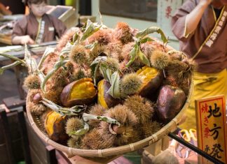 Jak dojechać bez alternatora?