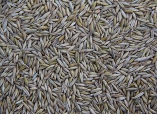 W jakich latach była produkowana Skoda Yeti?