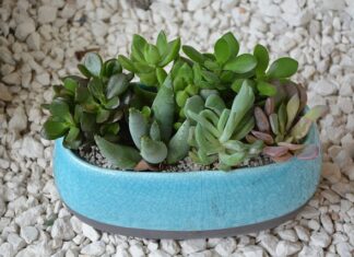 Jak usunąć tłuste plamy z rolety dzień noc?