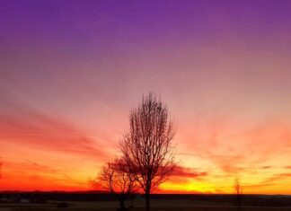 Na co zwrócić uwagę przy kupnie Skody Yeti? Na co zwrócić uwagę przy kupnie Skody Yeti?
