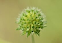 Czy Alpina to dobra firma? Czy Alpina to dobra firma?